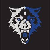 team_logo