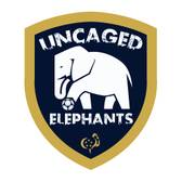 team_logo