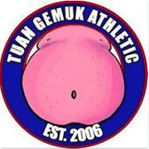 team_logo