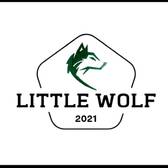 team_logo