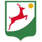 team_logo