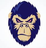 team_logo