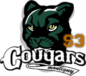 team_logo
