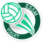team_logo