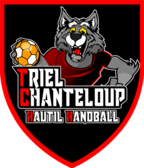 team_logo