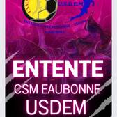 team_logo