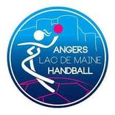 team_logo