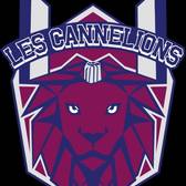 team_logo