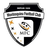 team_logo