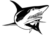 team_logo