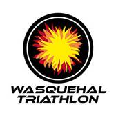 team_logo