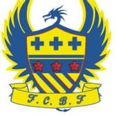 team_logo