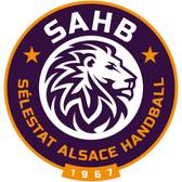 team_logo