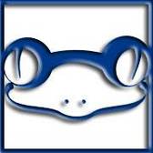 team_logo