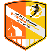 team_logo