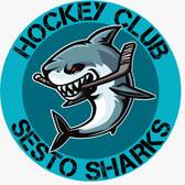 team_logo