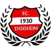 team_logo