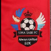 team_logo