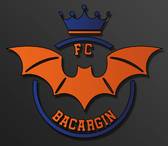 team_logo