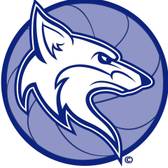 team_logo