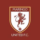team_logo