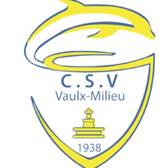 team_logo