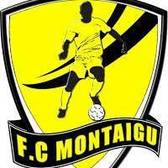 team_logo
