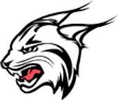 team_logo