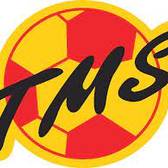team_logo