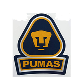 team_logo