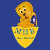 team_logo