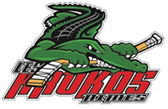 team_logo