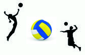 team_logo