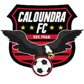 team_logo