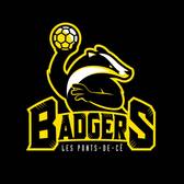 team_logo