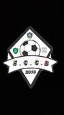 team_logo