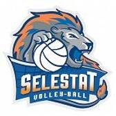 team_logo
