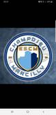 team_logo