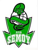 team_logo