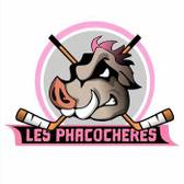 team_logo