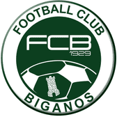team_logo