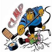 team_logo