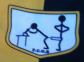 team_logo