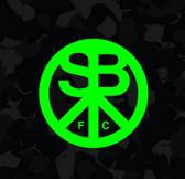 team_logo