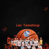 team_logo