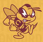 team_logo