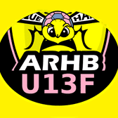 team_logo