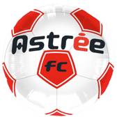 team_logo