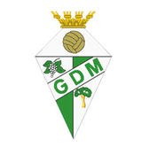 team_logo