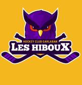 team_logo